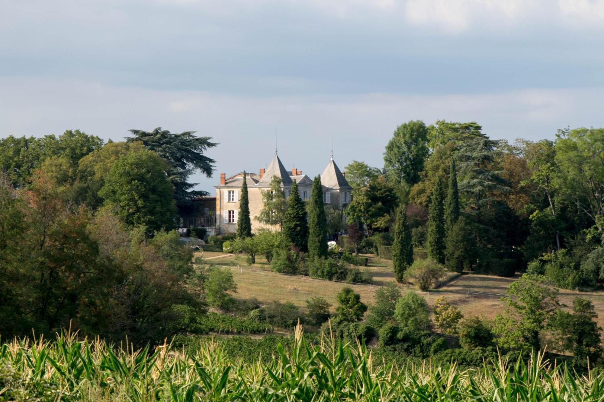 Domaine De Montclair Bed and Breakfast Pommiers  Buitenkant foto